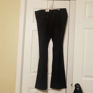 HUE Black Jeggings